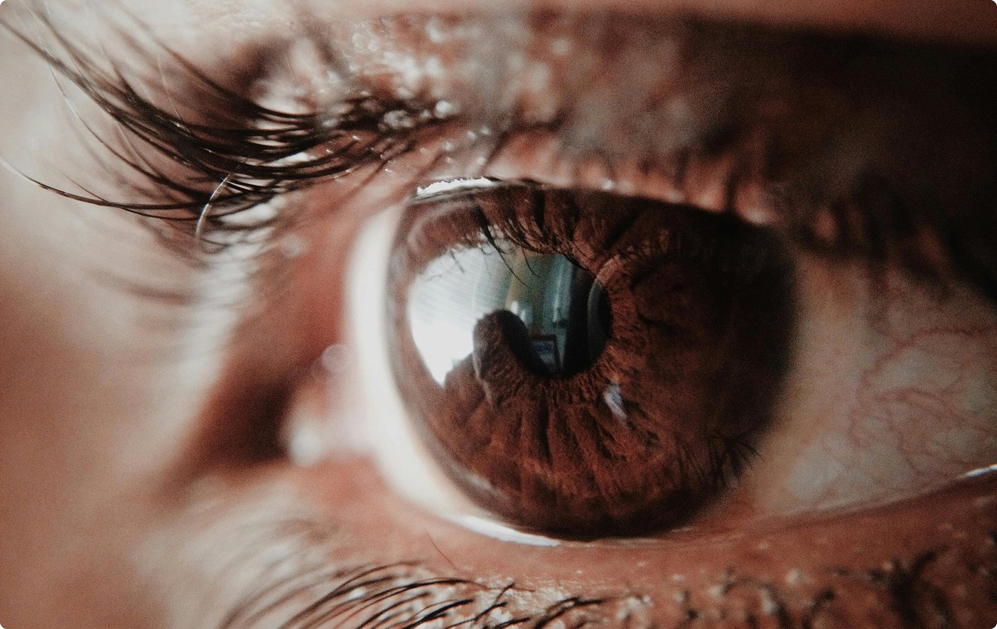 Un gros plan macro d'un œil humain avec un iris brun et des cils bien définis.
