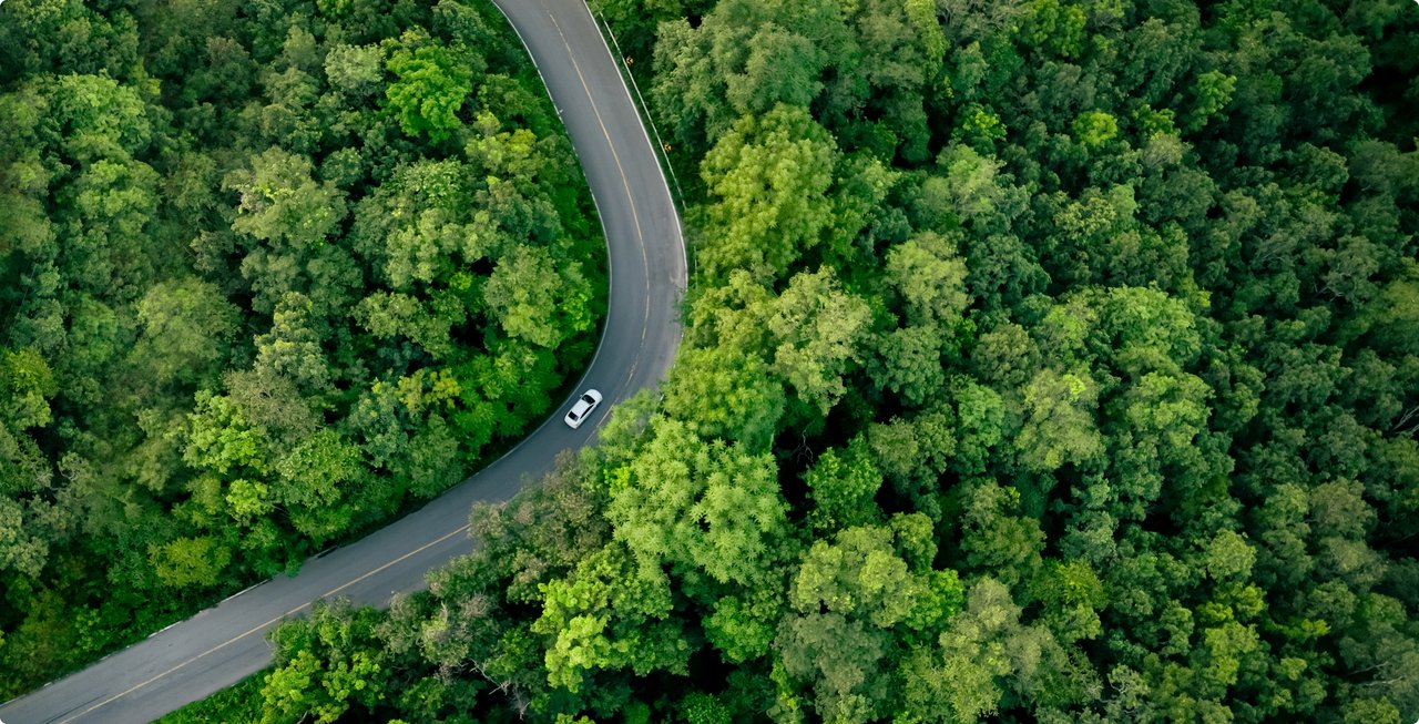 A winding road curves through a dense, lush green forest, photographed from above.