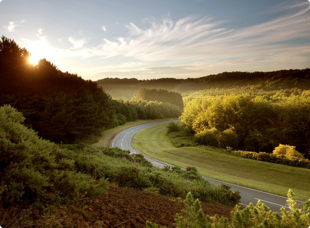 A picturesque view of a winding path or small road meandering through a wooded landscape, with sunlight filtering through the trees and creating mist in the distance.