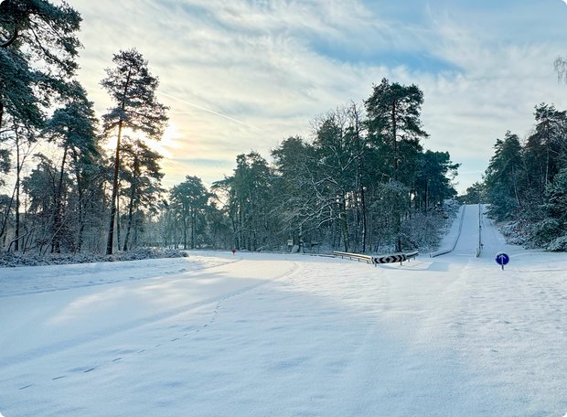A wide, snow-covered forest clearing or path, surrounded by snow-dusted coniferous trees under a slightly cloudy sky with the low sun.