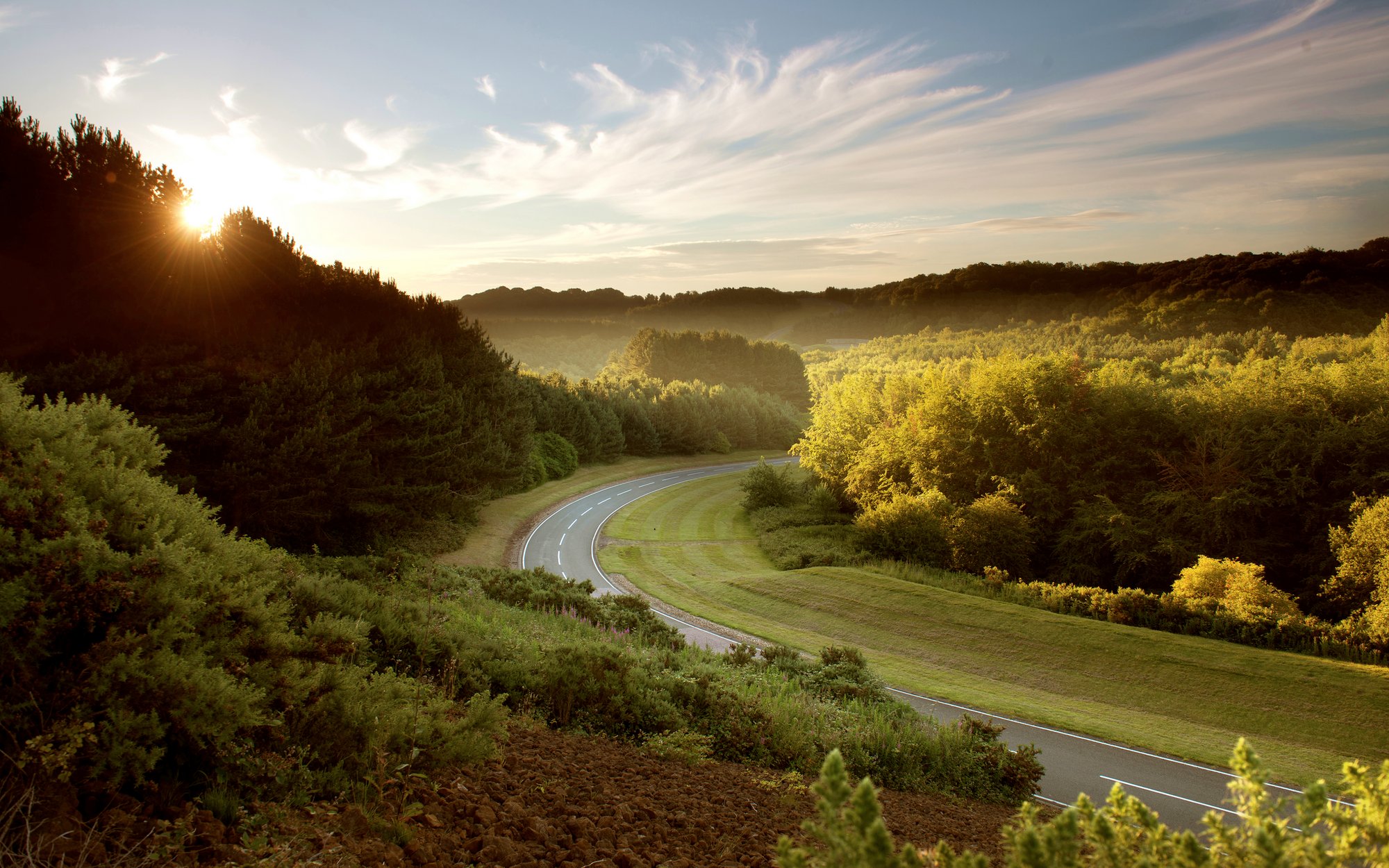 A winding road cuts through a forested landscape in the warm light of the low sun, which shines through the trees on the horizon. Mist or haze lies over the green treetops.