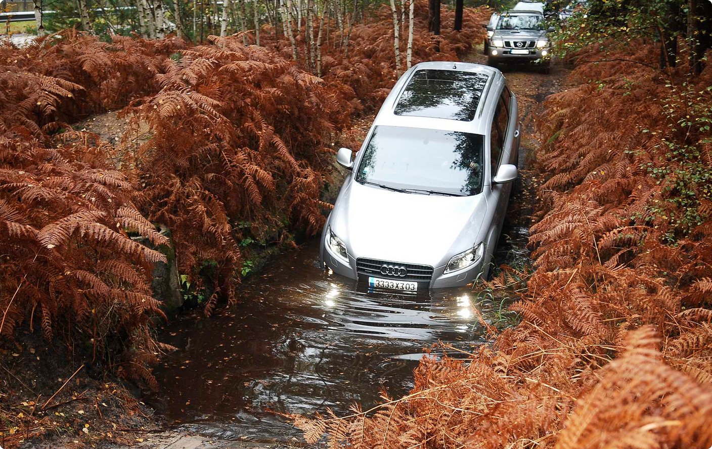 A white SUV drives through a muddy, watery track in a forest, surrounded by dense, reddish-brown ferns or undergrowth. The car's headlights are on, reflecting in the water, and another vehicle can be seen in the distance behind it.